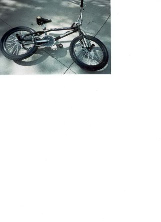 Picture Of My Bike